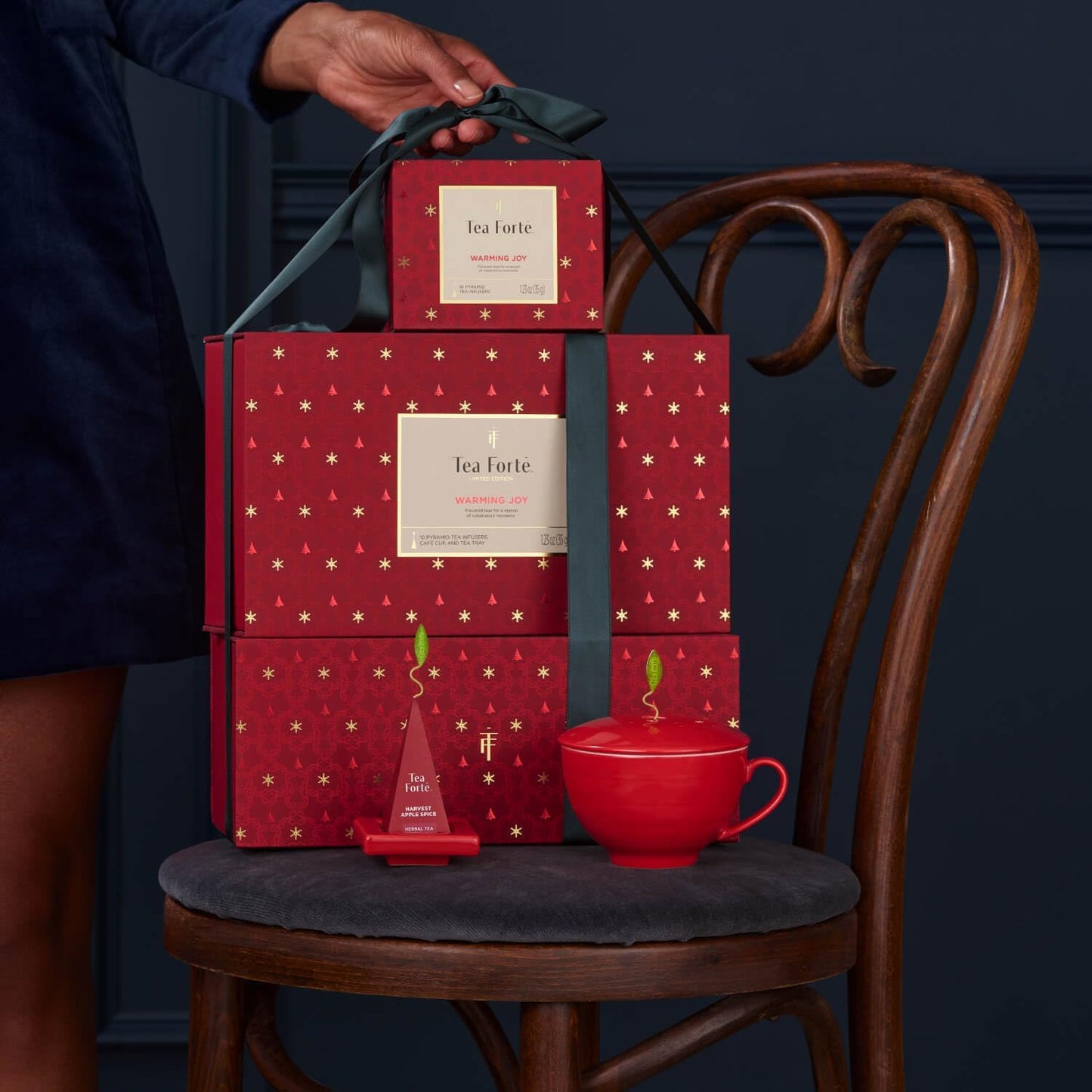 SET DE REGALO WARMING JOY 2025