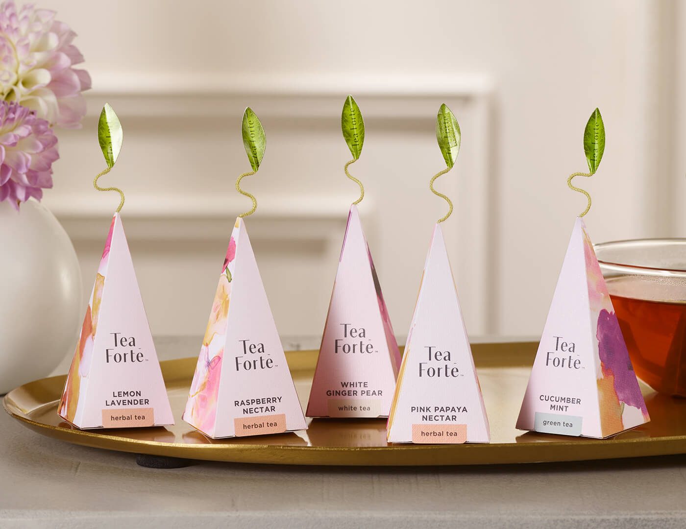 Mariposa 20 Pirámides vista 4 — Tea Forté México