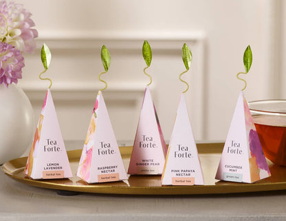 Mariposa 20 Pirámides vista 4 — Tea Forté México