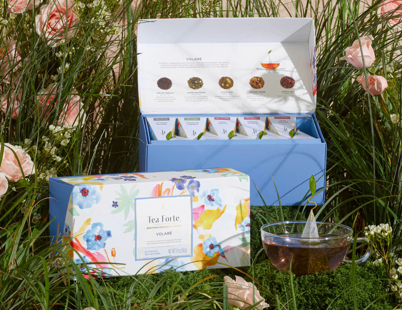 Caja Té Premium Volare Collection | Tea Forté