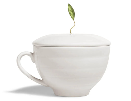 TEA FORTE TAZA CAFÉ CUP CON TAPA