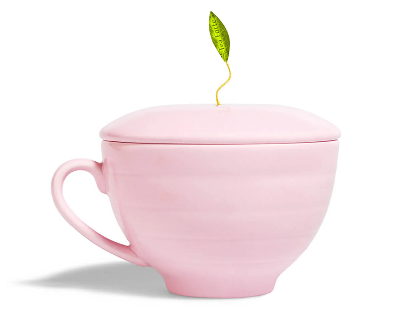 Set de Regalo Jardin