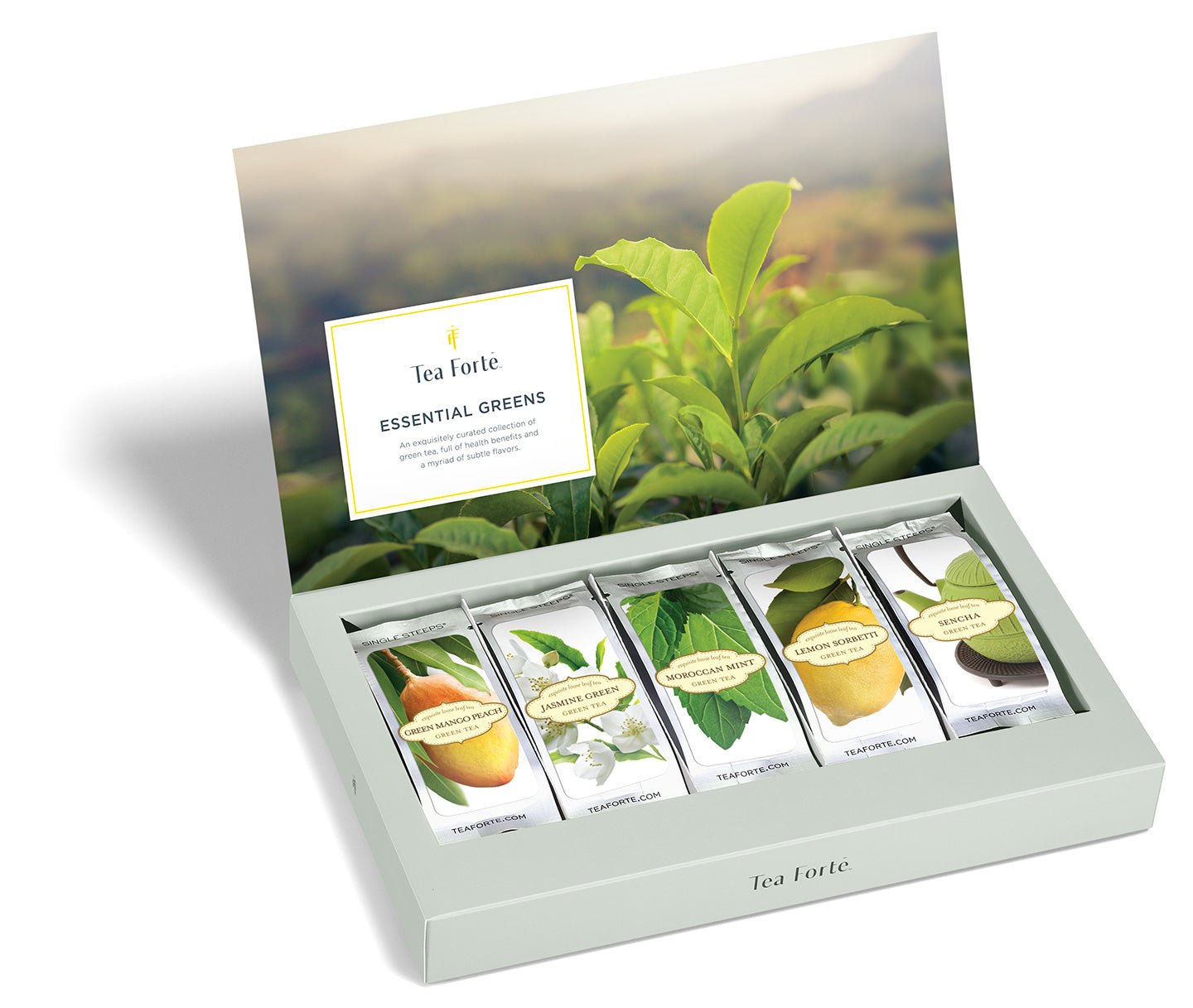 TEA FORTE SINGLE STEEPS® TÉ VERDE ESSENTIALS