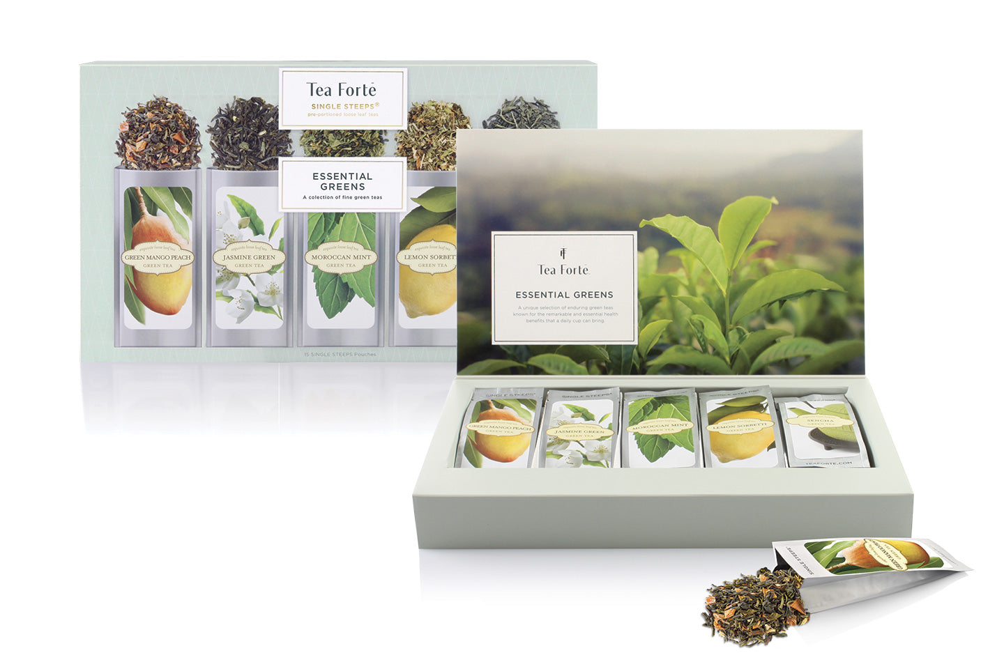 TEA FORTE SINGLE STEEPS® TÉ VERDE ESSENTIALS